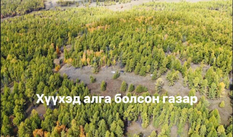 Ойд алга болоод амьд гарсан хүүхдүүдийн гайхамшигт түүхүүд