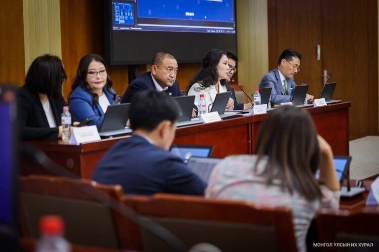 Дулааны үнийг нэмэгдүүлэх зохицуулалтыг 2026 он хүртэл түр хойшлуулсан