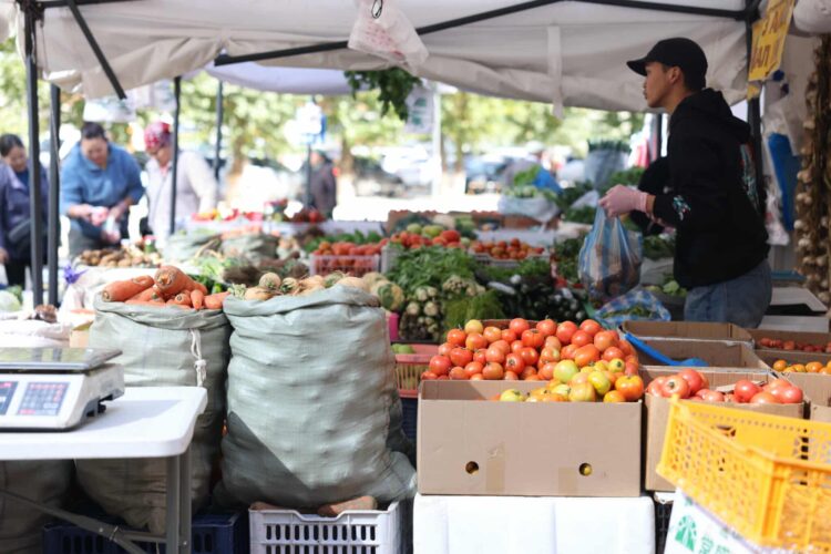 Фото сурвалжилга: “Намрын ногоон өдрүүд-2025” өргөтгөсөн худалдаа