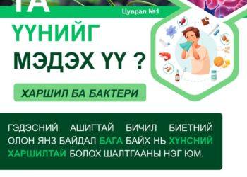 Нийгмийн эрүүл мэндийн үндэсний төв: Харшил ба бактери