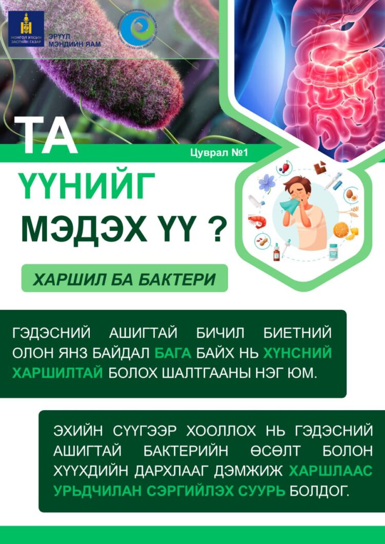 Нийгмийн эрүүл мэндийн үндэсний төв: Харшил ба бактери