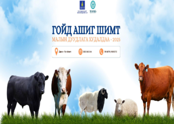 Гойд ашиг шимт малын үзэсгэлэн худалдаа маргааш эхэлнэ