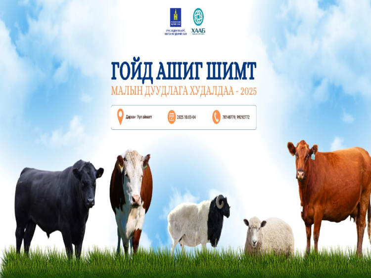 Гойд ашиг шимт малын үзэсгэлэн худалдаа маргааш эхэлнэ