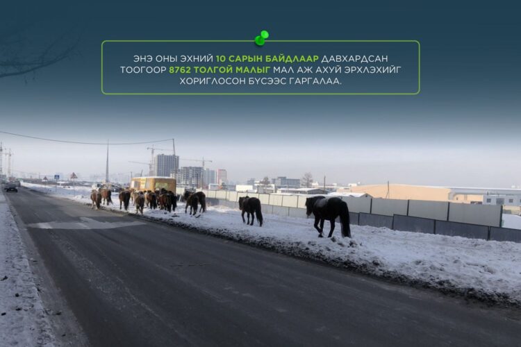 Мал аж ахуй эрхлэхийг хориглосон бүсээс малаа гаргаагүй иргэн, ААН-ыг Зөрчлийн тухай хуулиар торгох зохицуулалттай