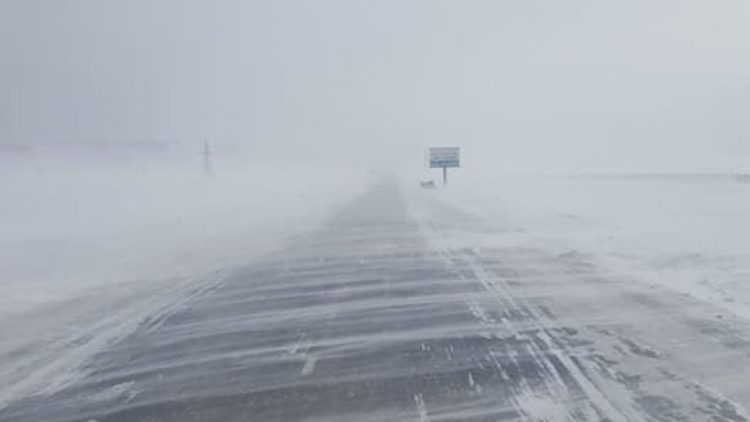 Цасан шуурганд төөрсөн нэг иргэн амиа алджээ