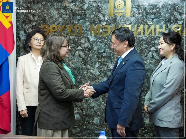 Орон нутагт эрчимт эмчилгээ, яаралтай, түргэн тусламжийн тогтолцоог бий болгох “Санхүүжилтийн ерөнхий хөтөлбөр” баталгаажлаа