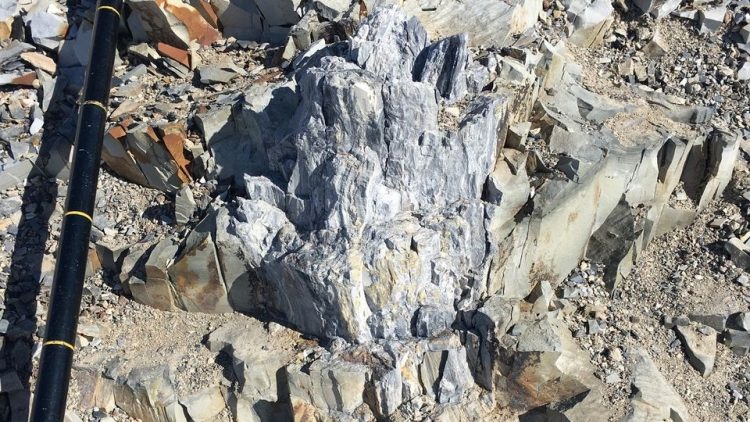 Антарктидын мөсөн доор эртний ой модны үлдэгдэл илэрч, дэлхийн уур амьсгалын ирээдүйг  тодорхой болгоход дөхөм болжээ