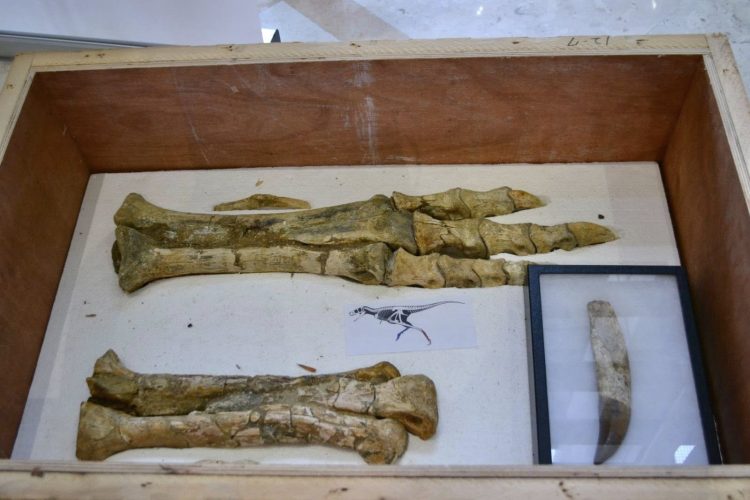 МОНГОЛ УЛСЫН НУТАГ ДЭВСГЭРЭЭС ХУЛГАЙЛАГДАЖ, ХУУЛЬ БУСААР ХИЛЭЭР НЭВТРҮҮЛСЭН ҮЛЭГ ГҮРВЭЛИЙН ЧУЛУУЖСАН ОЛДВОРЫГ ЭГҮҮЛЭН АВЛАА