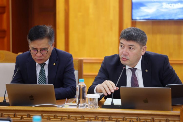 Хөгжлийн бэрхшээлтэй хүний хөгжлийн ерөнхий газрыг Засгийн газрын тохируулагч агентлаг болгох саналыг хэлэлцлээ