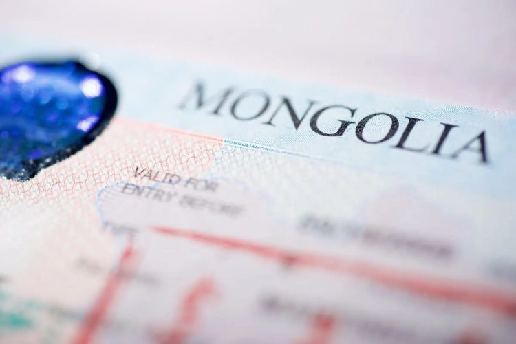 Өнгөрөгч онд 124,945 гадаадын иргэнд виз олгожээ