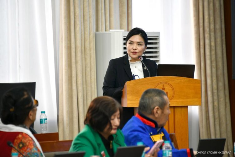 Асрах үйлчилгээний тухай хуулийн төслийг олон нийтэд танилцуулж, санал авч эхэллээ