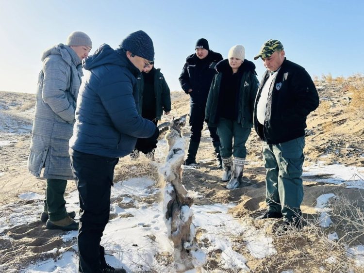 Хууль бус ан агнууртай тэмцэх төсөл хэрэгжиж байна