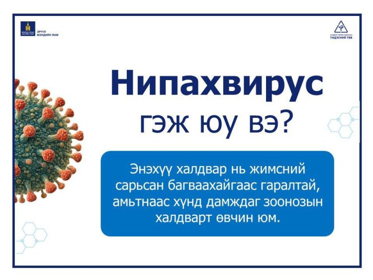НИПАХ ВИРУСИЙН ХАЛДВАРЫН ТАЛААРХ  МЭДЭЭЛЛИЙГ ХҮРГЭЖ БАЙНА