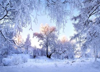 11-13-нд ихэнх нутгаар өдөртөө хүйтний эрч суларна