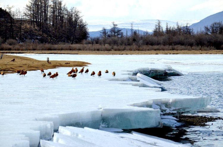 Ирэх хоёрдугаар сарын цаг агаарын ерөнхий төлөв