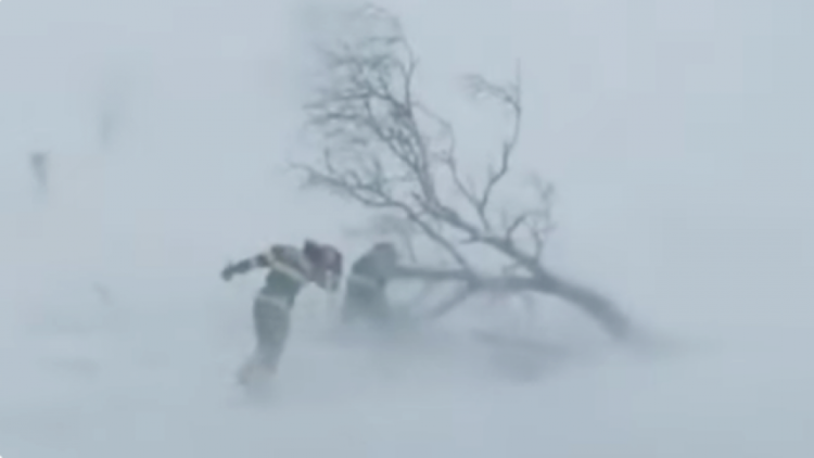 Өнөөдөр нутгийн зүүн хэсгээр хүйтэн, салхи шуургатай байхыг анхааруулж байна