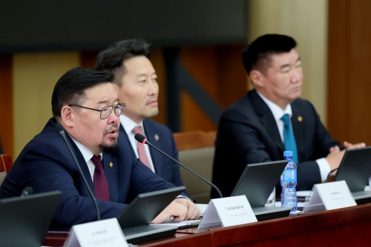 Хулгайг цэгцэлснээр Үндэсний баялгийн сангийн хөрөнгө арвижлаа