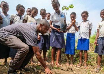 Кени улсад сурагчид нэг өдөрт 1 сая мод тарьж, дэлхийн дээд амжилт тогтоохоор зорив