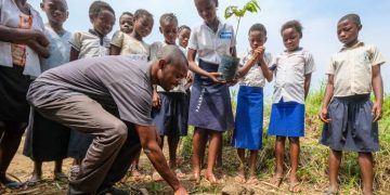 Кени улсад сурагчид нэг өдөрт 1 сая мод тарьж, дэлхийн дээд амжилт тогтоохоор зорив