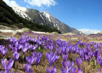 5 хоногийн цаг агаарын урьдчилсан мэдээ