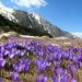 5 хоногийн цаг агаарын урьдчилсан мэдээ