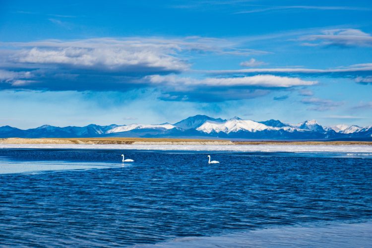 2026 оны 3 дугаар сарын цаг агаарын урьдчилсан төлөв