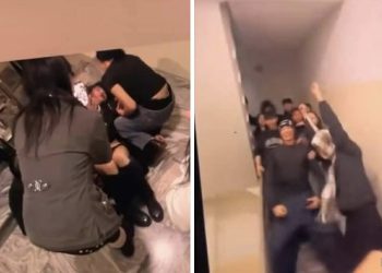 ЦЕГ: Нэгнээ зодож, танхайрсан 11 дүгээр ангийн сурагчдыг шалгаж байна