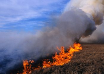 Ой, хээрийн түймрийн аюул нэмэгдэж, хэд хэдэн аймагт гал гарчээ