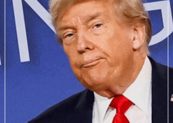 Трамп, Путин нар Украин, Ираны асуудлыг хэлэлцжээ