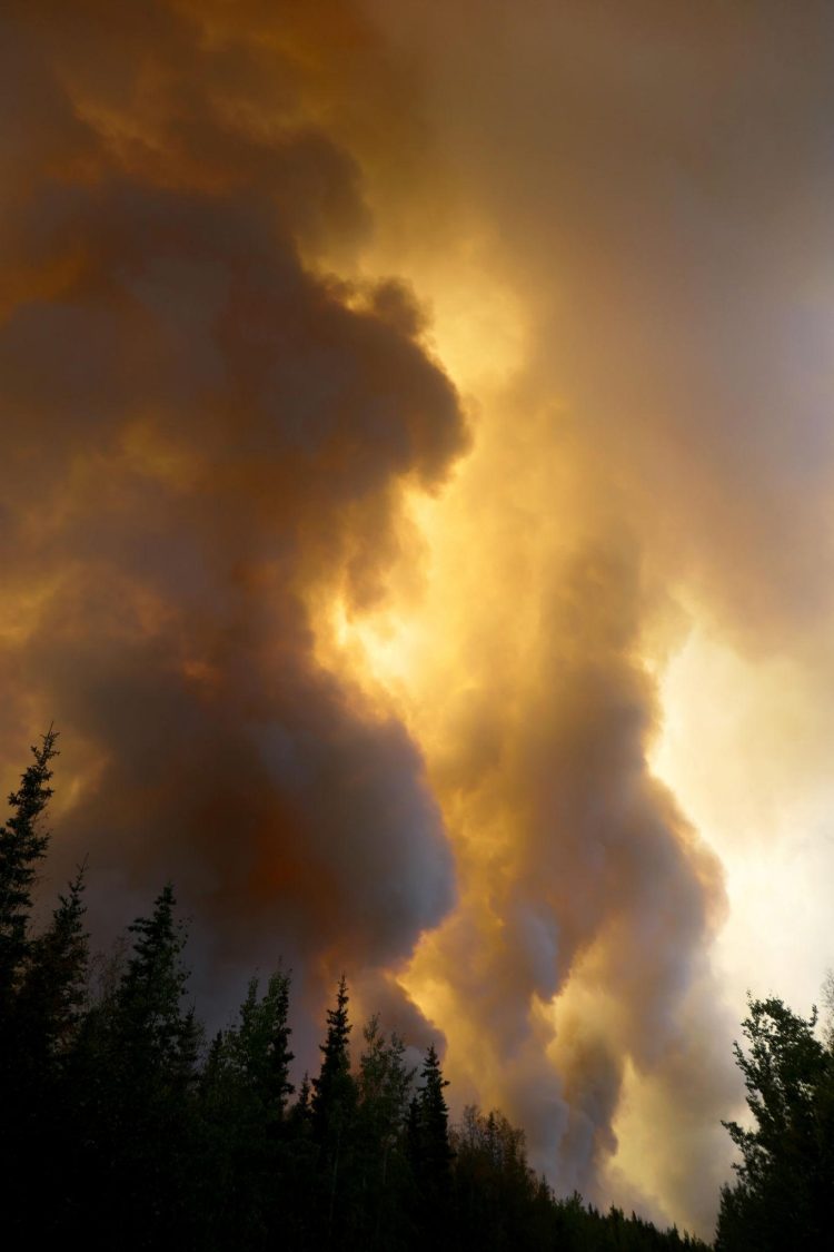 Дэлхийн цаг агаарын аюултай үзэгдлүүд олширсоор байна
