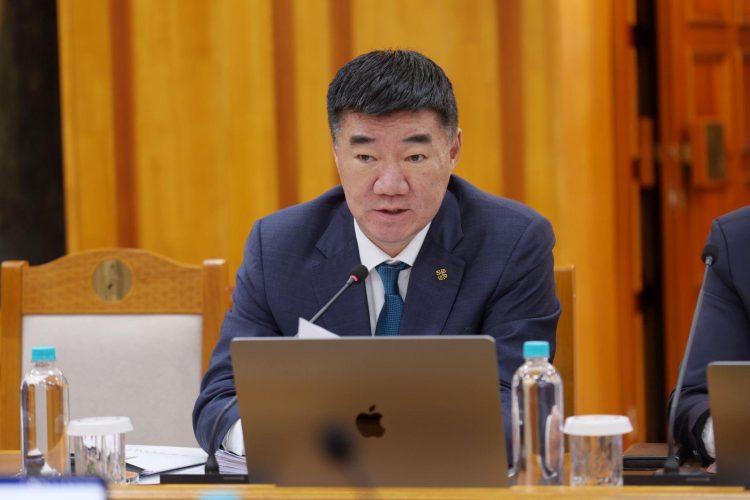 Гамшигт болон аюулт үзэгдлийн улмаас амь насаа алдсан малчны ар гэрт буцалтгүй тусламж олгоно