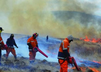 Ой хээрийн түймрээс урьдчилан сэргийлцгээе!