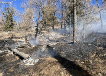 Богдхан уулын “Зүүн оргил” гэдэг газар гарсан ойн гал түймрийг бүрэн унтраалаа