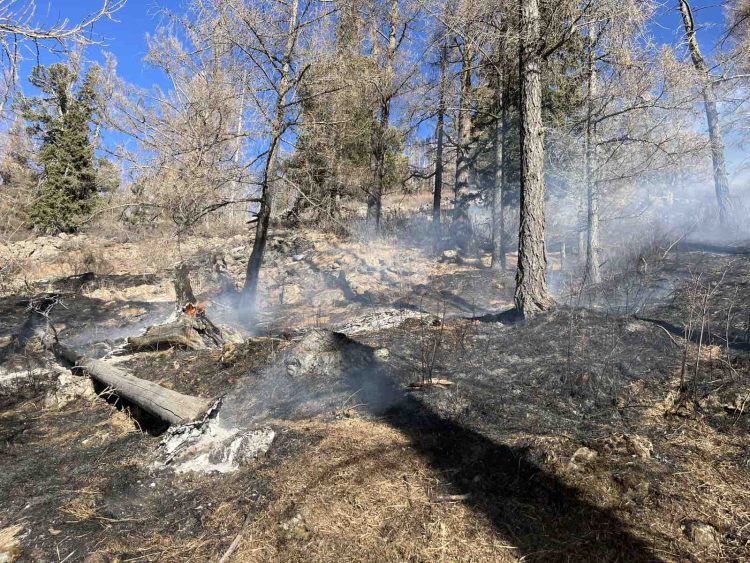 Богдхан уулын “Зүүн оргил” гэдэг газар гарсан ойн гал түймрийг бүрэн унтраалаа