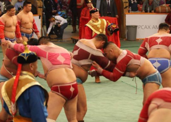 “Монгол улсын заан” цолтой бөхчүүдэд хүндэтгэл үзүүлэх барилдаан болно