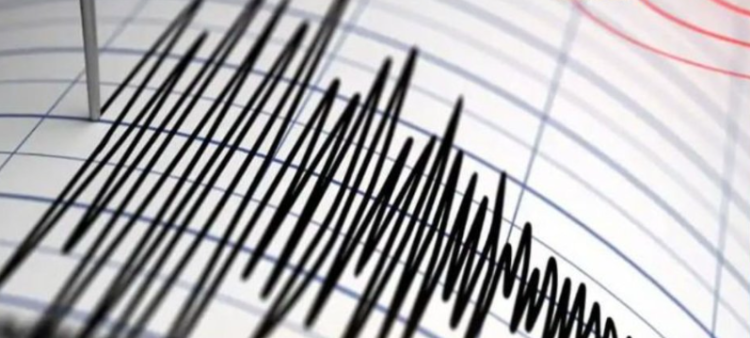 Индонез улсад 7.4 магнитудын хүчтэй газар хөдөлжээ