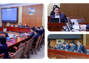 Эрүү шүүлт тулгах гэмт хэргийн хохирогчийг хамгаалах, зөрчигдсөн эрхийг сэргээх, эрүүл мэнд, нийгэм, сэтгэл зүй, эд хөрөнгийн тусламж үйлчилгээ үзүүлэх, нөхөн төлбөр олгох талаар судалж, санал, дүгнэлт гаргана