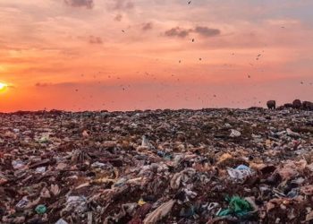 “Хог шатааж, эрчим хүч үйлдвэрлэх” төслийг 2026-2029 онд хэрэгжүүлэхээр төлөвлөжээ