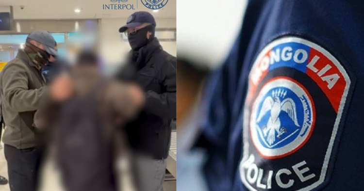 Бага насны хүүхдийг садар самуунд уруу татдаг Интерполоор эрэн сурвалжлагдаж байсан этгээдийг баривчилжээ