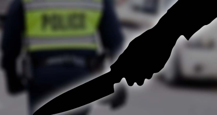 Японд 55 настай эрэгтэйг хутга тулган дээрэмдсэн Монгол залууг баривчилжээ