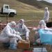 Баян-Өлгий аймагт малын гоц халдварт өвчин гарсантай холбоотойгоор хорио цээрийн дэглэм тогтоолоо