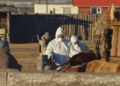 Увс аймгийн Тэс суманд боом өвчнөөр 2 хүн өвчилжээ