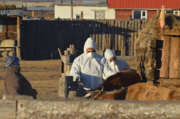 Увс аймгийн Тэс суманд боом өвчнөөр 2 хүн өвчилжээ