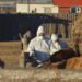 Увс аймгийн Тэс суманд боом өвчнөөр 2 хүн өвчилжээ