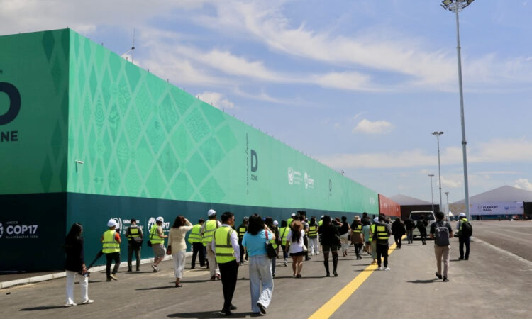 COP17: Өнөөдөр олон нийтэд зориулсан Ногоон бүс нээлтээ хийнэ