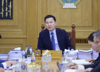 Н.Учрал: Нөмрөгийн түймэртэй холбогдуулан өгсөн үүрэг даалгаврын биелэлтийг хянаж, ажлаа эрчимжүүл